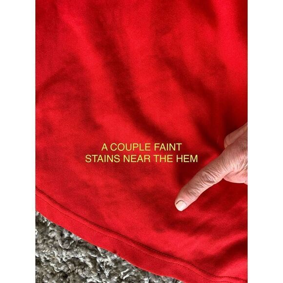 NHL OFFICIAL Detroit Red Wings Hockey Jersey Shirt VINTAGE Y2K MCM unisex SMALL - Picture 5 of 5